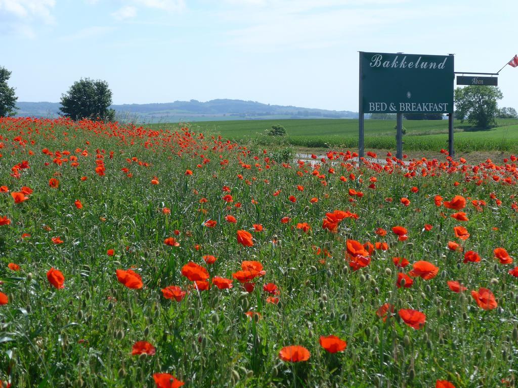 Bakkelund Bed & Breakfast Borre Εξωτερικό φωτογραφία
